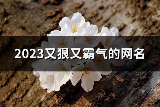 2023又狠又霸气的网名(共328个)