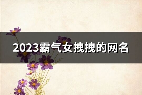 2023霸气女拽拽的网名(优选254个)