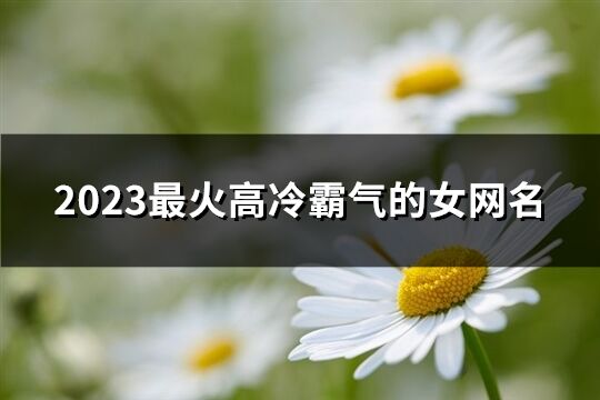 2023最火高冷霸气的女网名(精选346个)