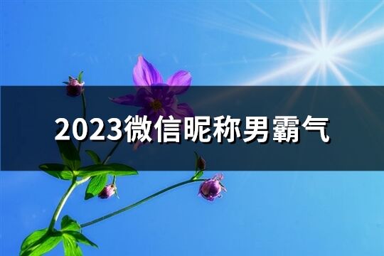 2023微信昵称男霸气(精选726个)