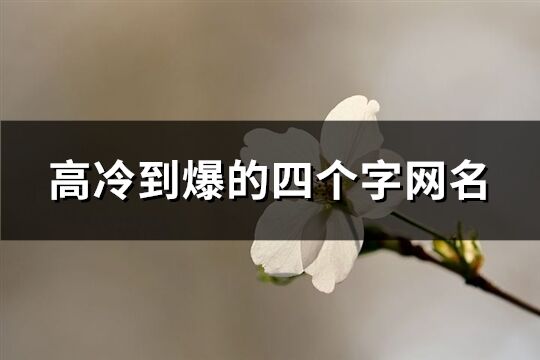 高冷到爆的四个字网名(优选428个)