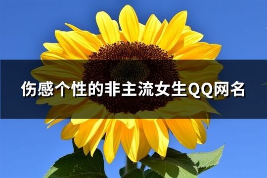 伤感个性的非主流女生QQ网名(共135个)