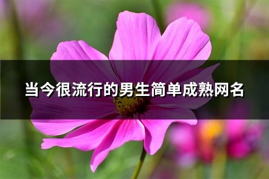 当今很流行的男生简单成熟网名(优选699个)