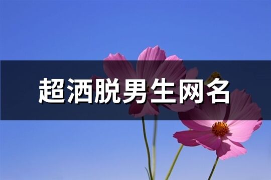 超洒脱男生网名(优选238个)