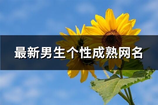 最新男生个性成熟网名(精选585个)