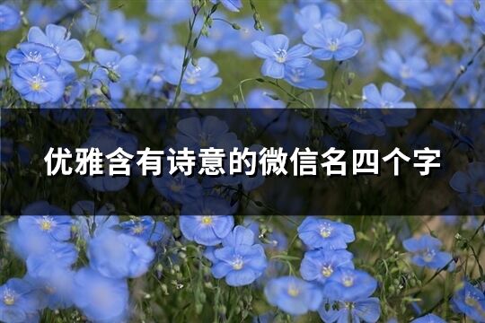 优雅含有诗意的微信名四个字(610个)