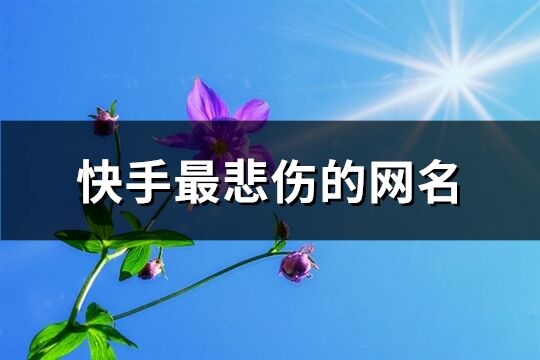 快手最悲伤的网名(优选552个)