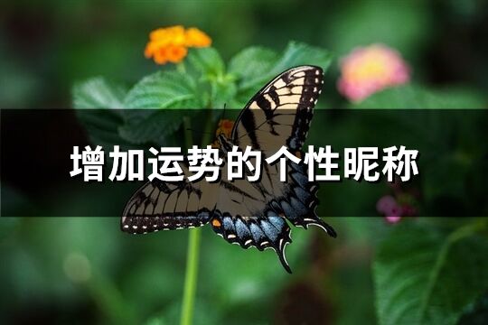 增加运势的个性昵称(568个)