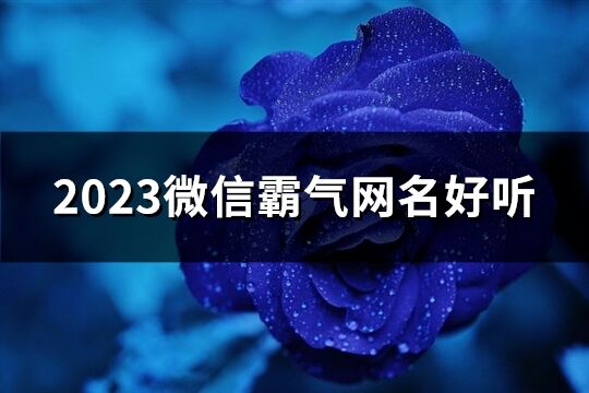 2023微信霸气网名好听(优选435个)