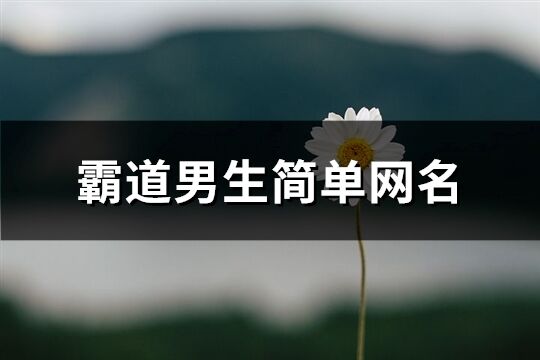 霸道男生简单网名(优选240个)