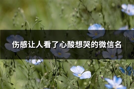 伤感让人看了心酸想哭的微信名(精选111个)