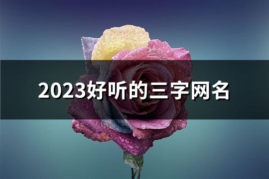 2023好听的三字网名(优选791个)