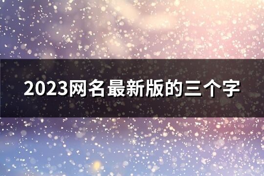 2023网名最新版的三个字(共1176个)