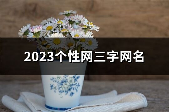 2023个性网三字网名(精选775个)