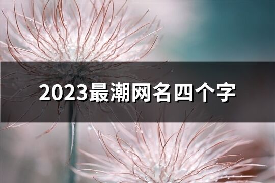 2023最潮网名四个字(优选800个)