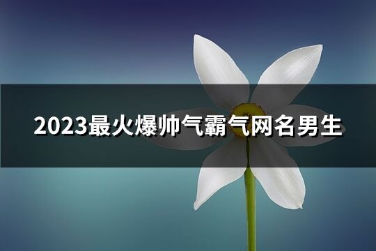 2023最火爆帅气霸气网名男生(共834个)