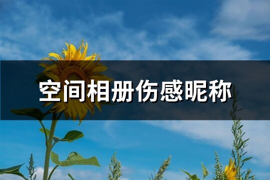 空间相册伤感昵称(共181个)