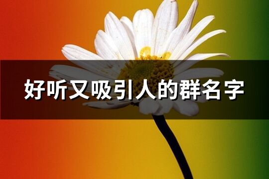 好听又吸引人的群名字(共553个)