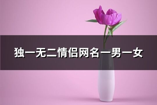 独一无二情侣网名一男一女(精选149个)