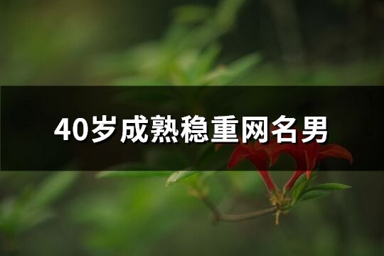 40岁成熟稳重网名男(精选238个)