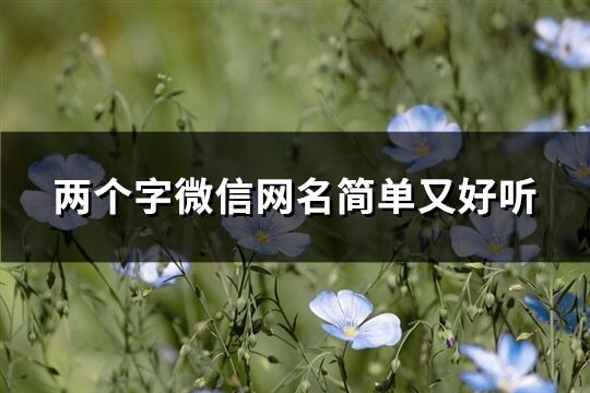 两个字微信网名简单又好听(优选1324个)