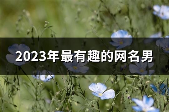 2023年最有趣的网名男(优选622个)