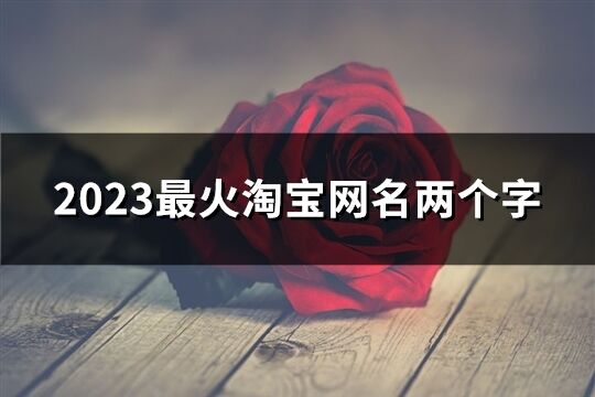 2023最火淘宝网名两个字(优选147个)