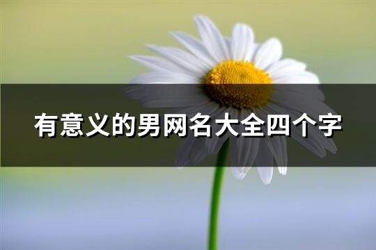 有意义的男网名大全四个字(精选501个)