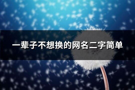 一辈子不想换的网名二字简单(370个)