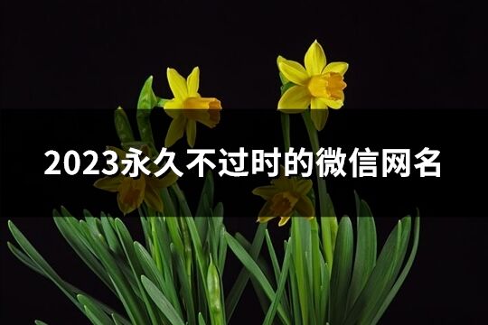 2023永久不过时的微信网名(639个)