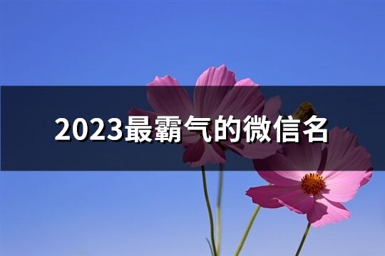 2023最霸气的微信名(360个)