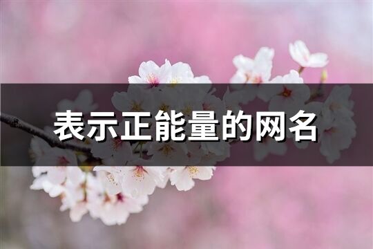 表示正能量的网名(精选160个)