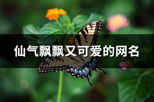 仙气飘飘又可爱的网名(优选236个)