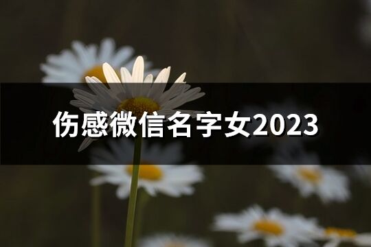 伤感微信名字女2023(共60个)