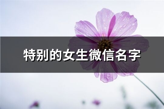 特别的女生微信名字(精选891个)