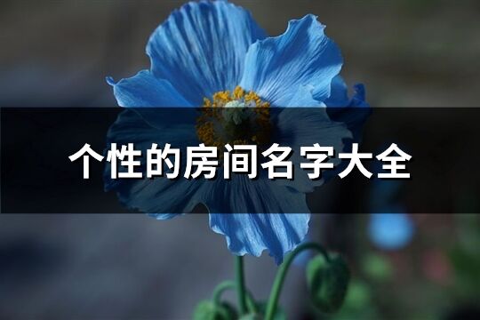 个性的房间名字大全(156个)