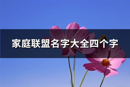 家庭联盟名字大全四个字(精选494个)