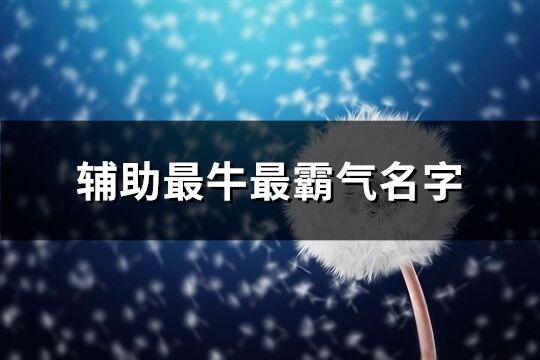 辅助最牛最霸气名字(优选189个)