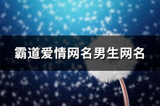 霸道爱情网名男生网名(共177个)