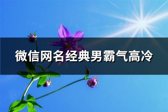 微信网名经典男霸气高冷(优选490个)