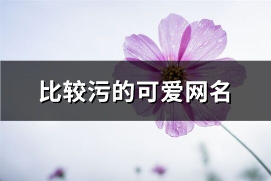 比较污的可爱网名(共163个)