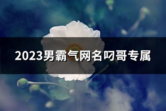 2023男霸气网名叼哥专属(精选746个)