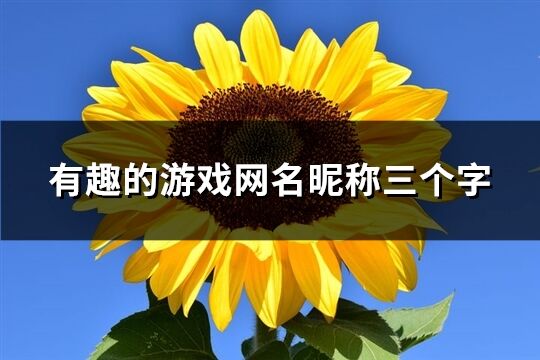 有趣的游戏网名昵称三个字(共435个)