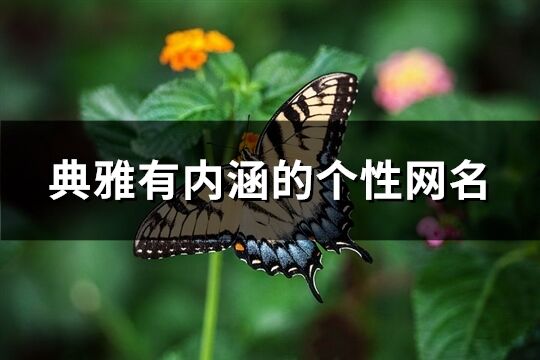 典雅有内涵的个性网名(194个)