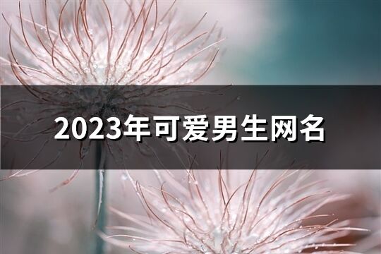 2023年可爱男生网名(176个)