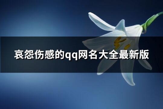 哀怨伤感的qq网名大全最新版(优选381个)