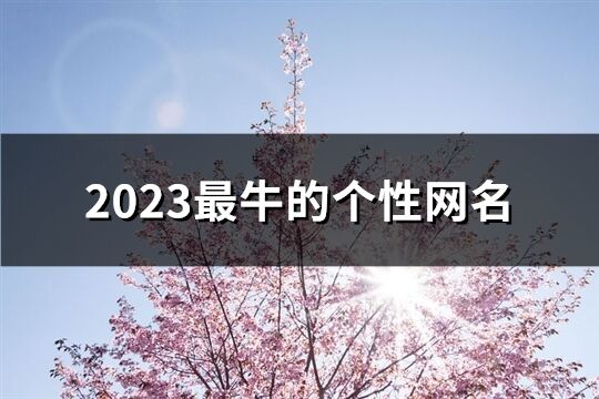 2023最牛的个性网名(共802个)