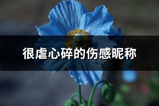 很虐心碎的伤感昵称(优选158个)