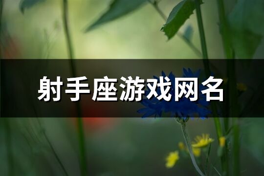 射手座游戏网名(79个)