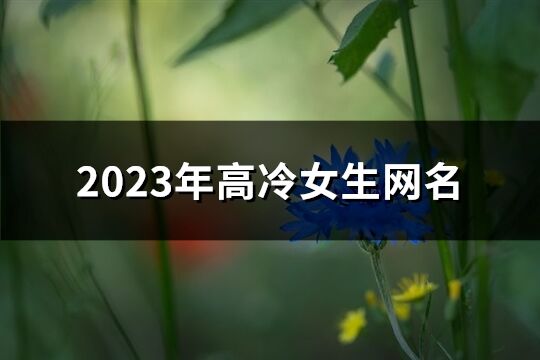 2023年高冷女生网名(优选456个)